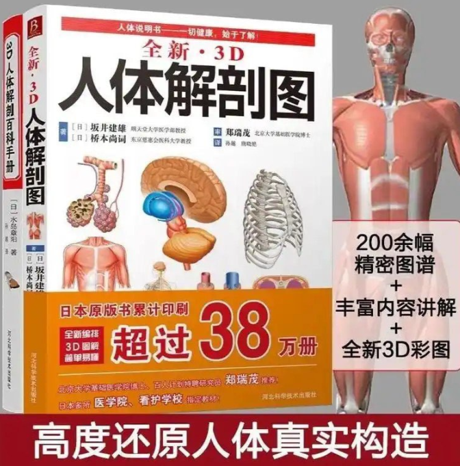 《全新3D人体解剖图》严重推荐 了解熟悉人体结构 一切健康 始于了解 [pdf] 58.5MB