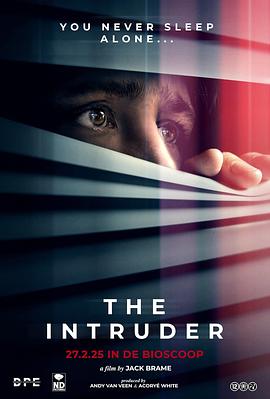 疑影夜袭 The Intruder