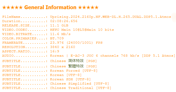 战，乱 (2024)【NF / 4K / SDR / 高码率】【特效字幕】【全景声】【杜比DDP5.1】【11.2GB】