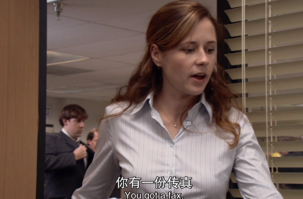 办公室 The Office 1-9季合集 [1080P/双语字幕/中文字幕]【81.3GB】