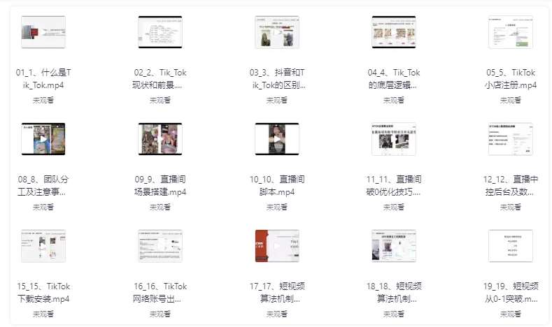 从零到百万！TikTok直播间打造教程，涵盖小店运营、直播技巧及短视频制作 【538MB】