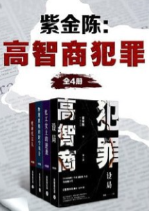 紫金陈：高智商犯罪（全4册）pdf 5MB