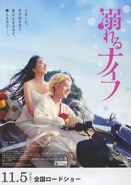 弱水小刀（2016）4K WEB-DL 国日双语 11.4G