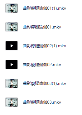 健身《曲影瘦腿瑜伽》 3GB