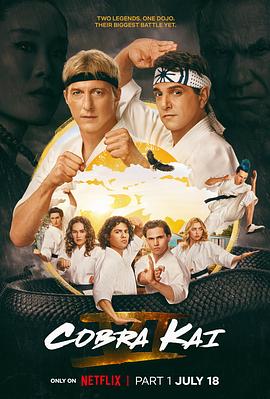 眼镜蛇 第六季 Cobra Kai Season 6