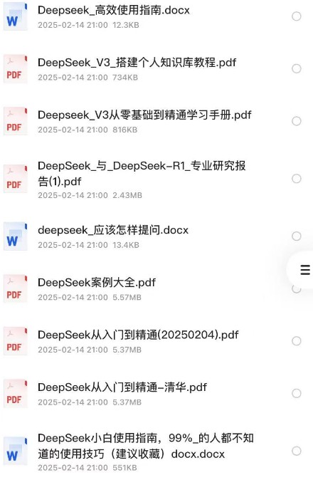 《全网最全deep seek教程》2025   [PDF+word]  [deep seek相关教程/使用技巧/安装文件]  [267GB]