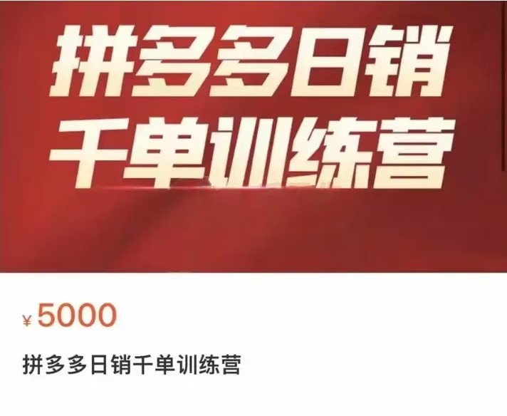 pdd价值5000元项目课程分享 3.91G