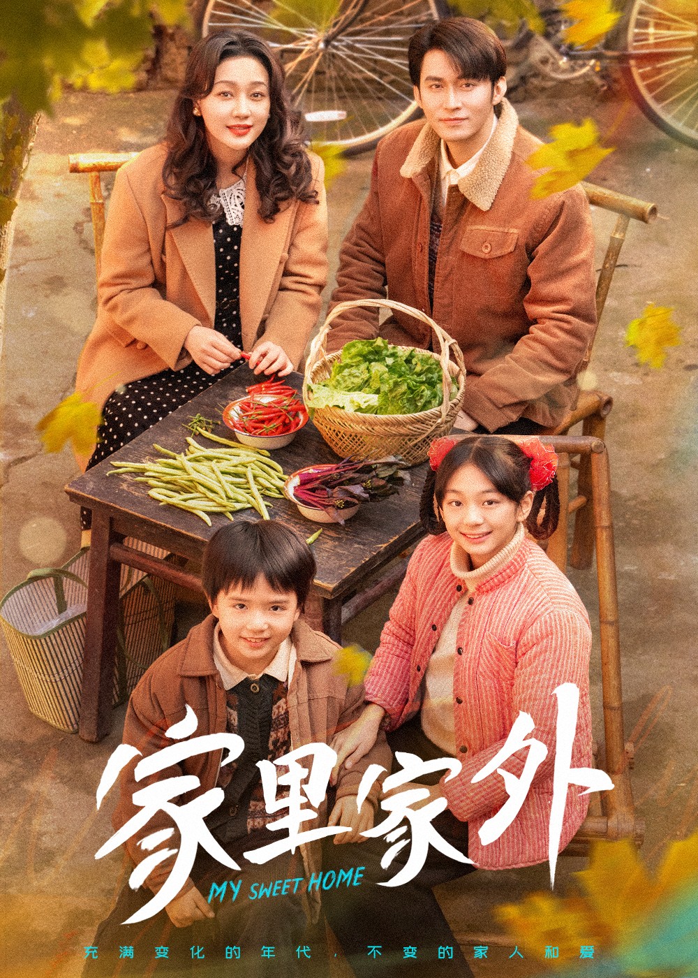 家里家外（2025）79集合并一集【950MB】