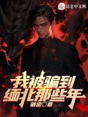 我被骗去缅北那些年 txt 2.6MB