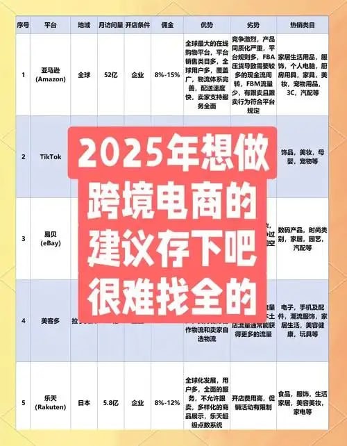 【2025电商类付费教程】_包含海内外各大平台课程【73.8GB】