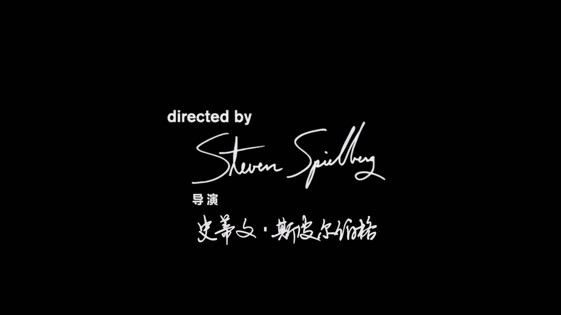 幸福终点站 (2004)【蓝光原盘REMUX】【次世代环绕声国英双语】内封简繁英双语特效字幕 [32.4G]