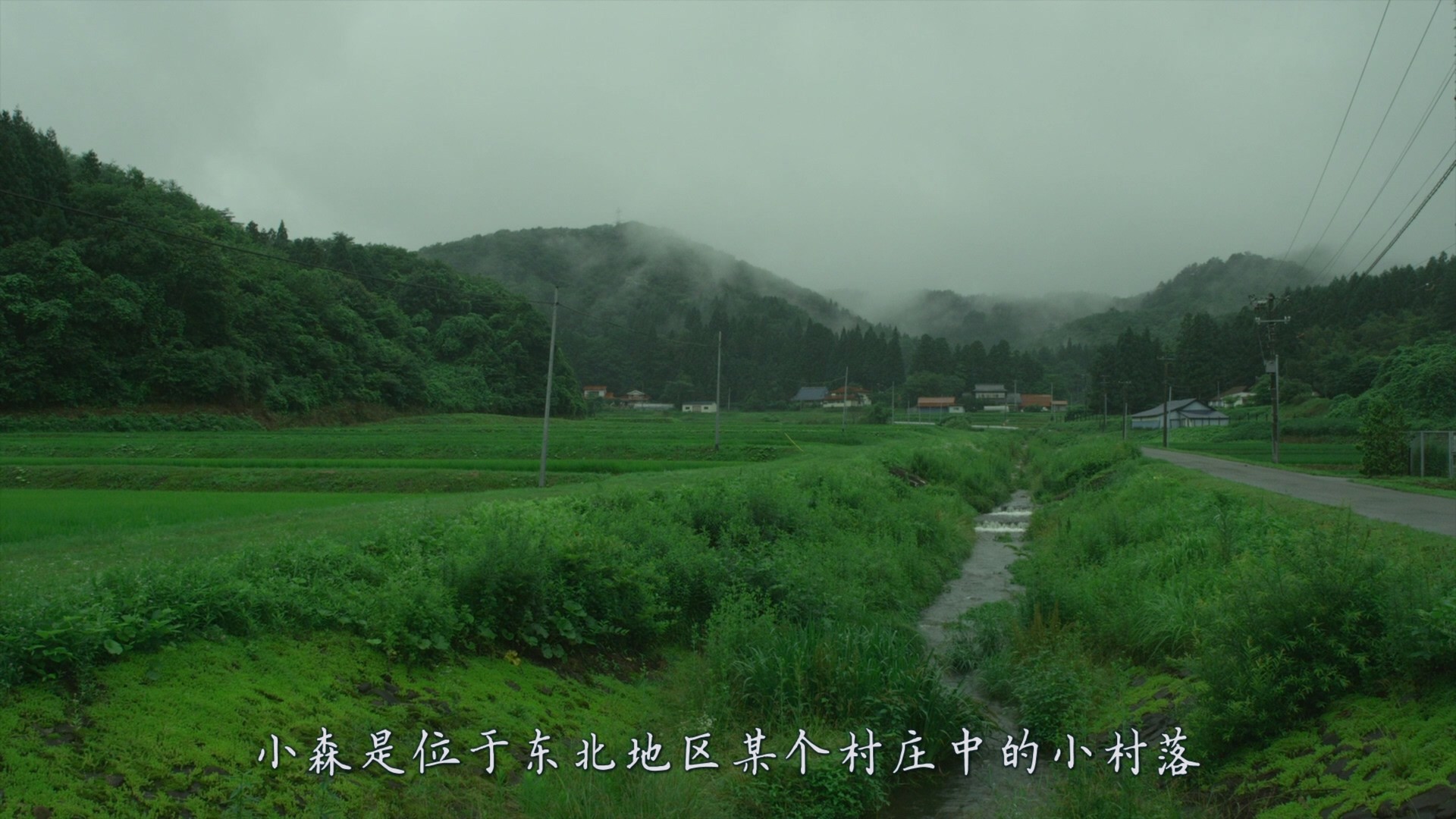 小森林系列 2部合集【蓝光原盘REMUX】【次世代环绕声5.1】内封简繁特效字幕 [67.7G]  [小森林冬春篇/小森林夏秋篇]