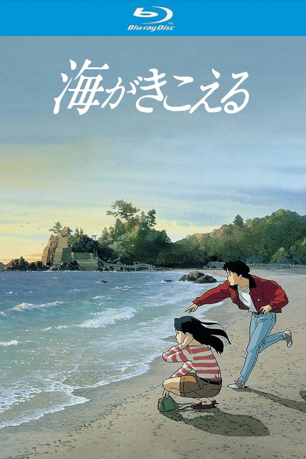听到涛声 (1993)【蓝光原盘REMUX】【PCM无损国日双语】内封简繁日双语字幕 [20.9G]