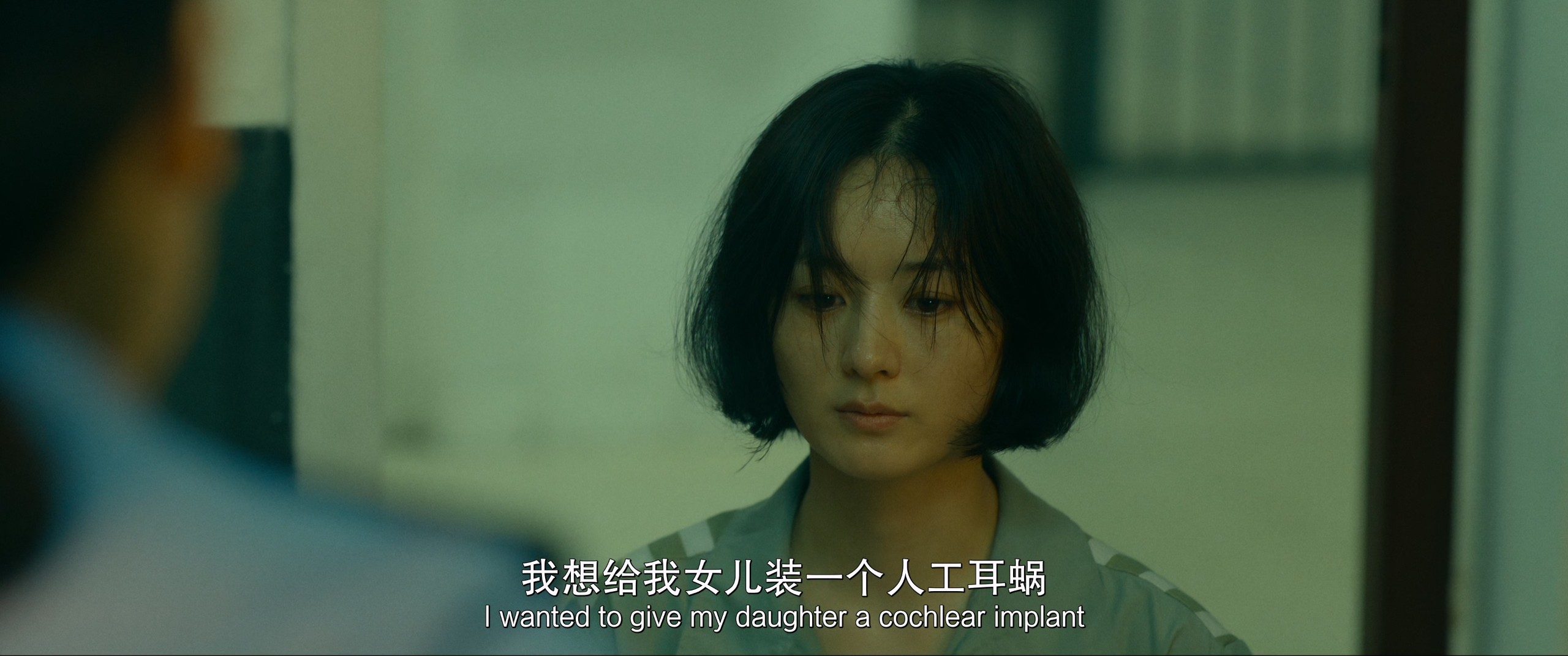 向阳·花 (2025) 4K【高码率60FPS WEB-DL】【次世代环绕声&杜比环绕声多音轨】嵌入简英双语字幕   [27.7G]