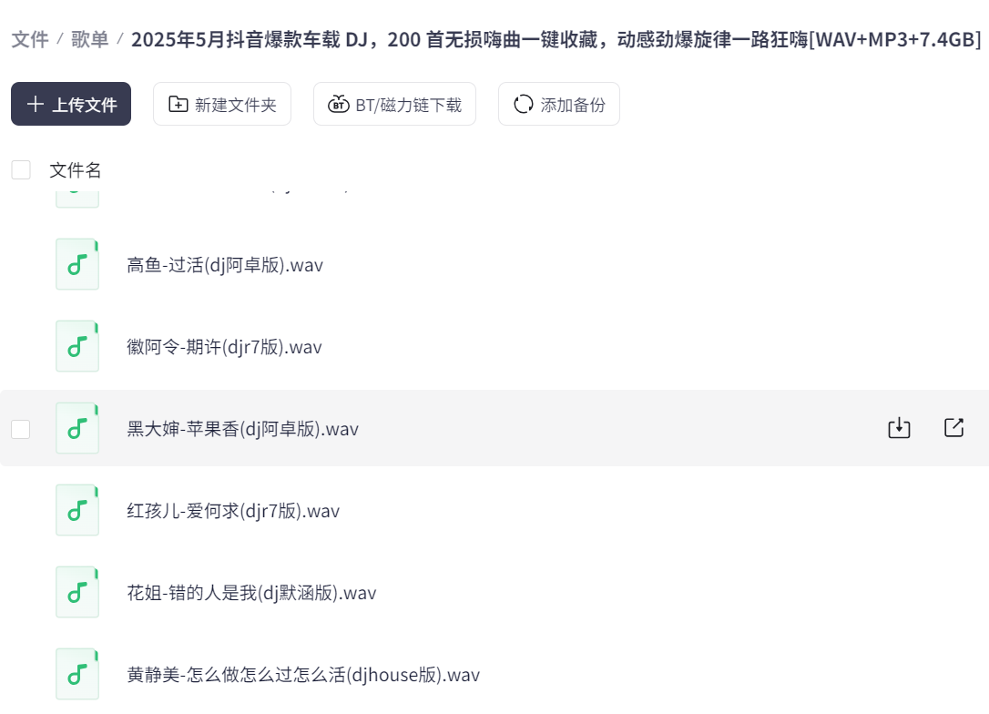 2025年5月抖音爆款车载 DJ，200 首无损嗨曲一键收藏，动感劲爆旋律一路狂嗨 [WAV+MP3+7.4GB]