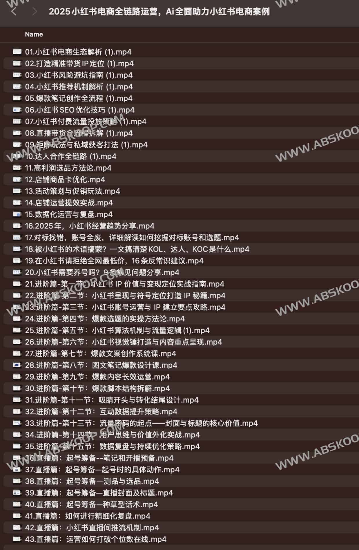 小红书电商全链路运营课程(2025实战版)大小:913.2MB(共43个项目)视频+PDF+案例资料