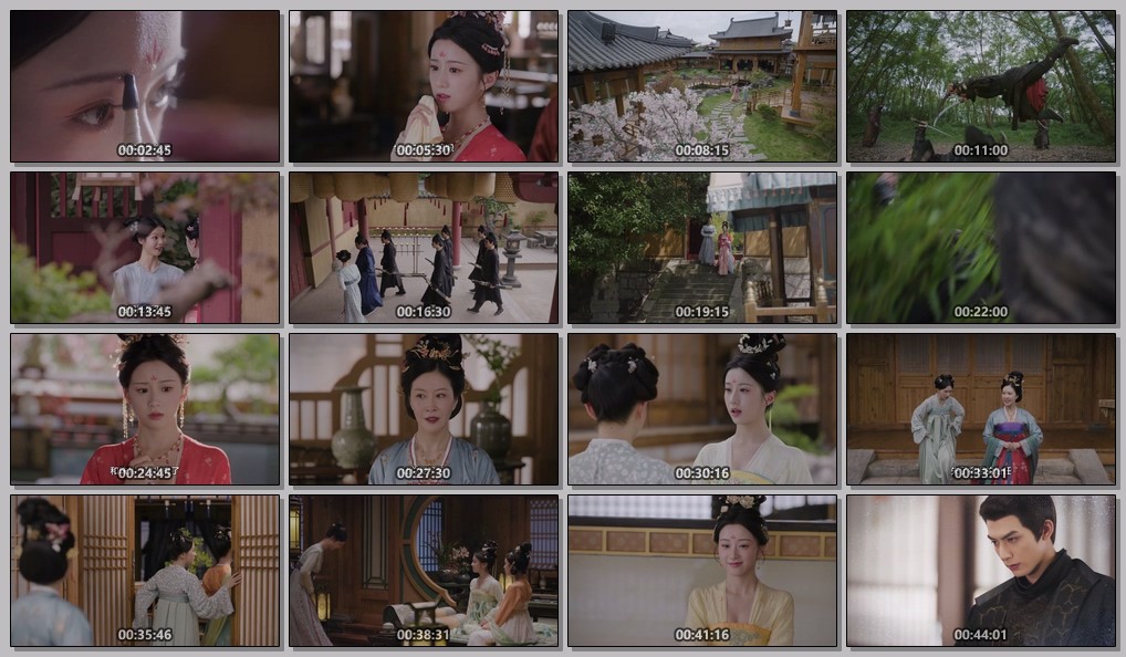 【更新03集】韶华若锦 (2025)【IQ / 1080p / 高码率】【内封简繁】【单集0.7GB】【宋威龙 / 包上恩 / 代露娃】