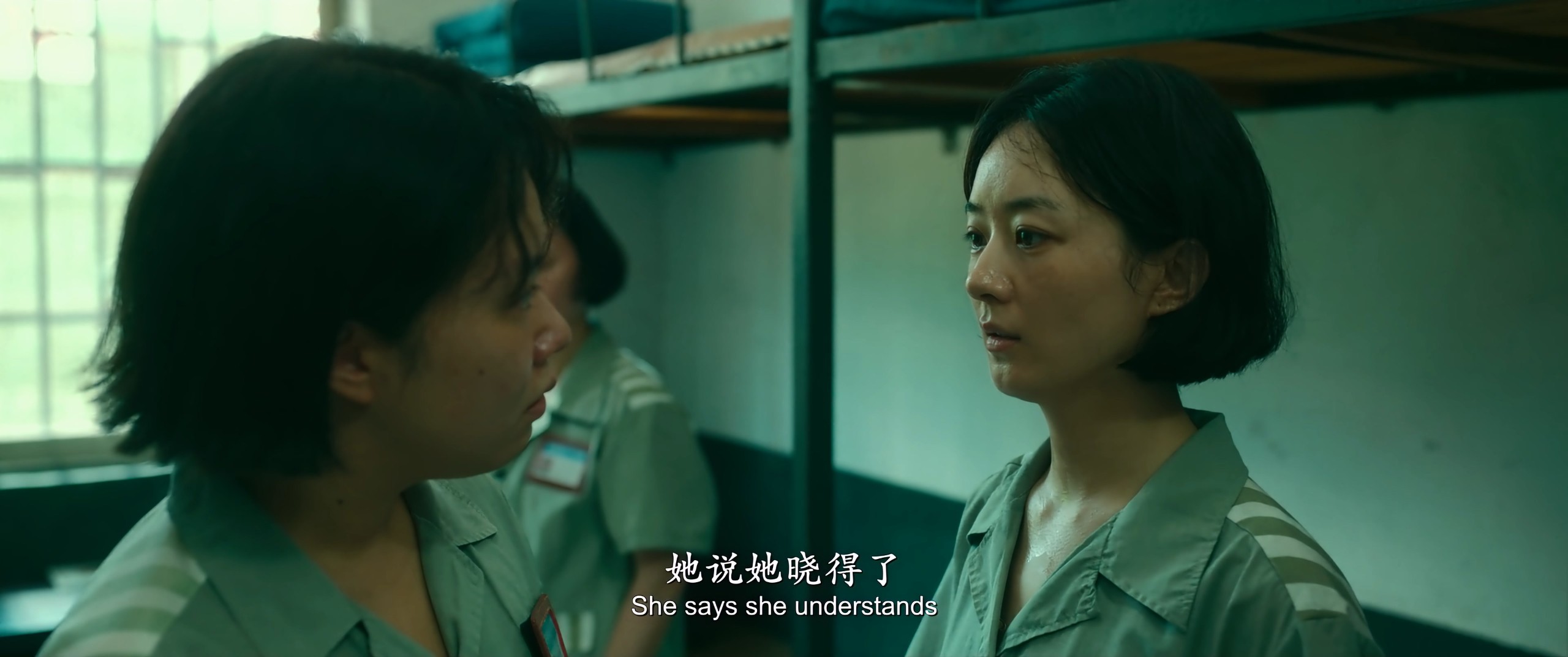 向阳·花 (2025)【4K / EDR / 高码率】【DTS环绕声】【内嵌简英】【11GB】【赵丽颖 / 兰西雅】* 向阳花 / 出狱女子的故事*