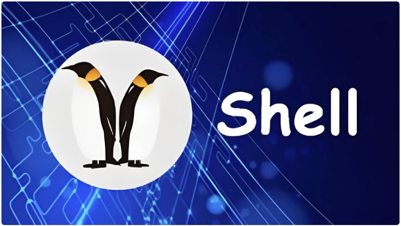 大数据技术之Shell – 带源码课件 【858MB】