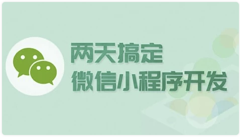 两天搞定微信小程序开发 - 带源码课件 【2.9GB】