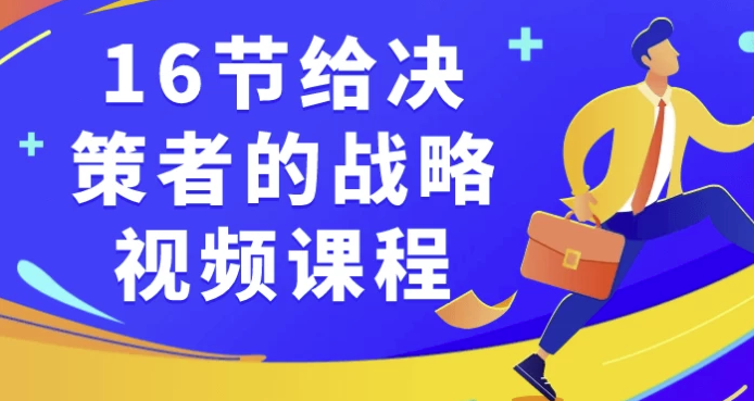 16节给决策者的战略视频课程 【1.9GB】