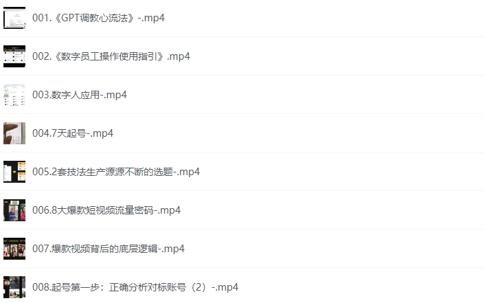AI流量体-老板的随身操盘手【2.14GB】