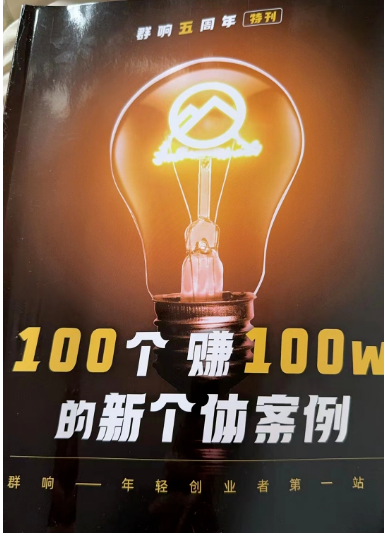 《100个赚100w新个体实战案例》 6.3M