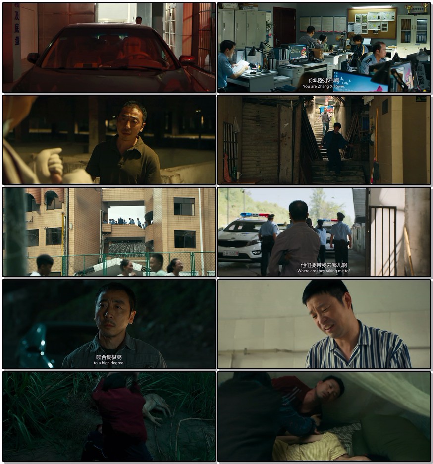        [怒水西流]       [2025最新 王迅/宁理/犯罪大片]       [国语中字]       [4K/2.5G]       [多版本/高码率]