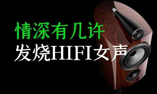 《车载极致女声HIFI试音碟300首无损音乐》 [2025] [WAV分轨] [13.6GB]