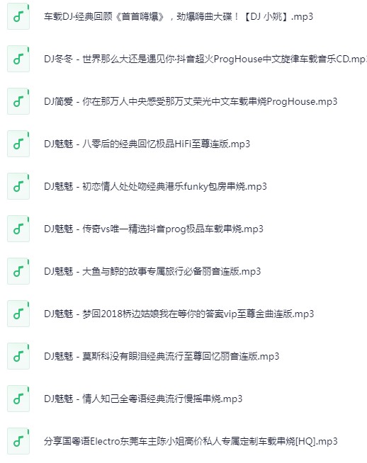 《无损音乐 高品质 车载HIFI音乐靓碟 DJ舞曲》  [2025]  [MP3/320K]  [89.3G]