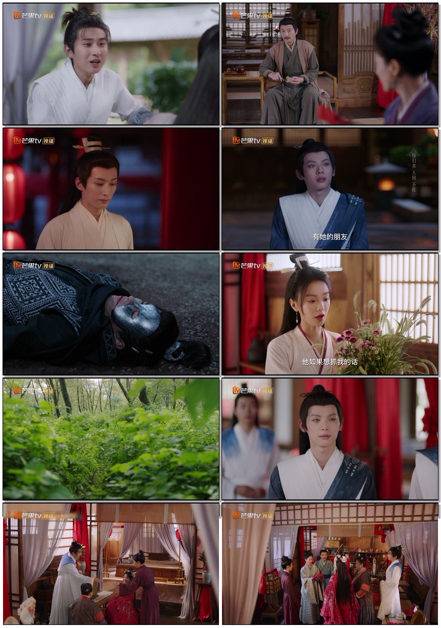   [落花时节又逢君]  [更新至第21集]  [2025刘学义/胡意旋 新剧]  [国语中字]  [4K/2GB]