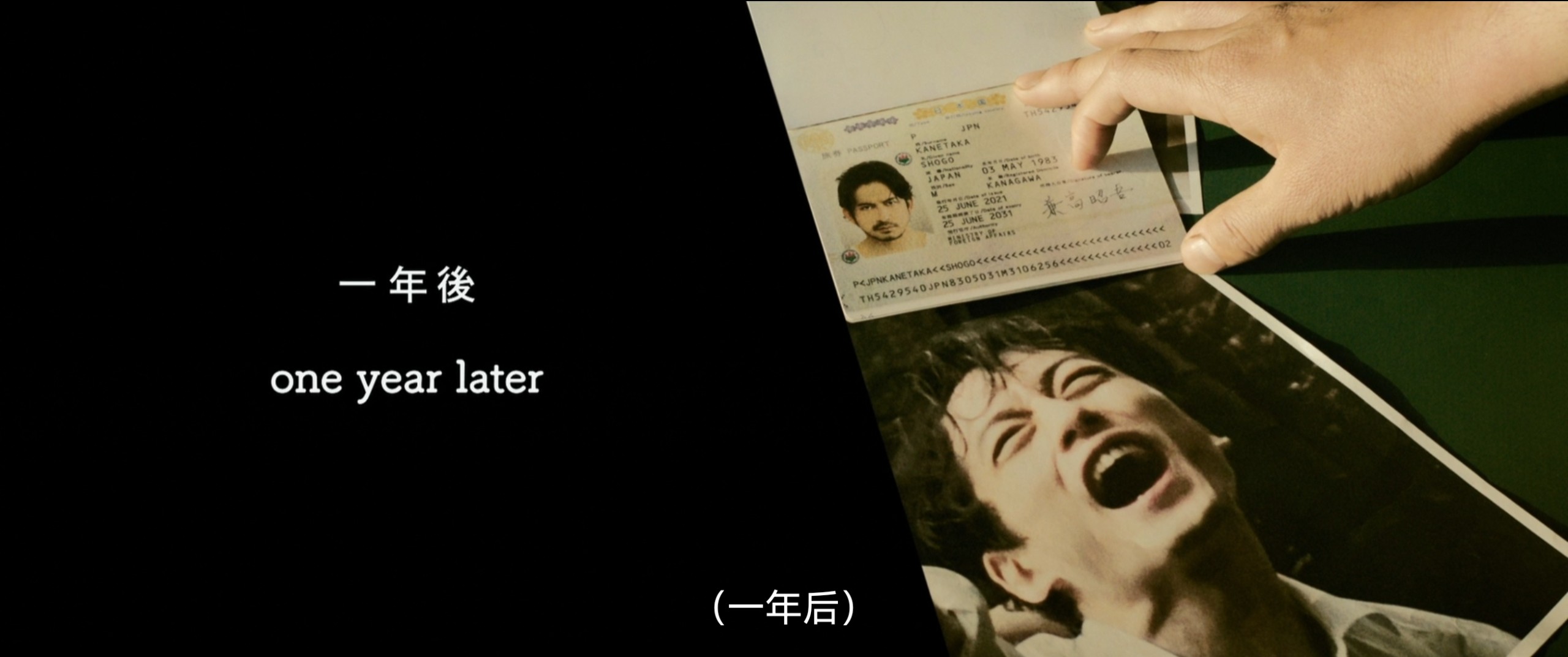 地狱犬/孤狼特工（2022）1080P蓝光 内嵌简中 12G
