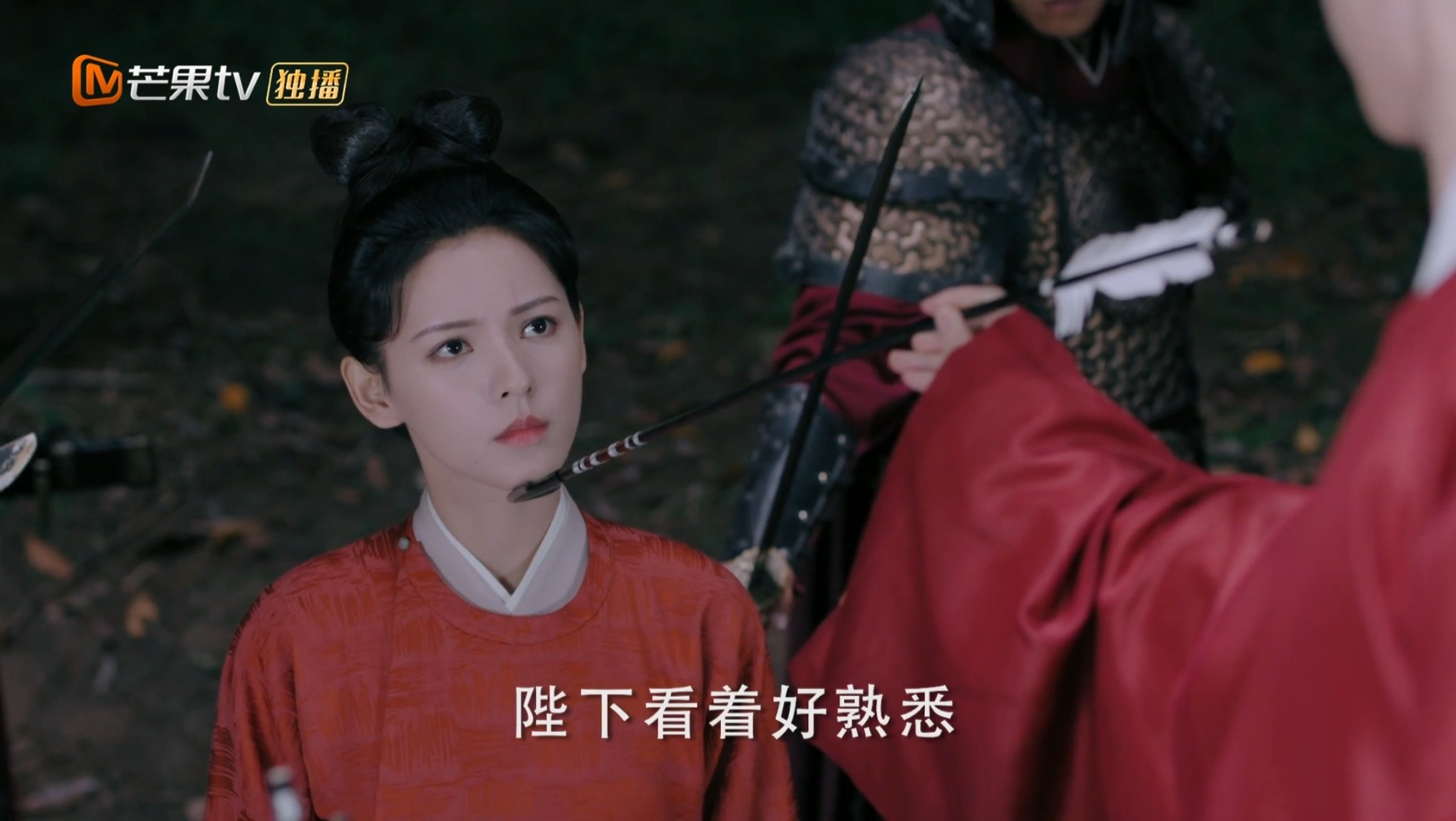 与君歌（2021）1080P 国语中字 0.8G/集左右 总共40G 又名 :梦醒长安