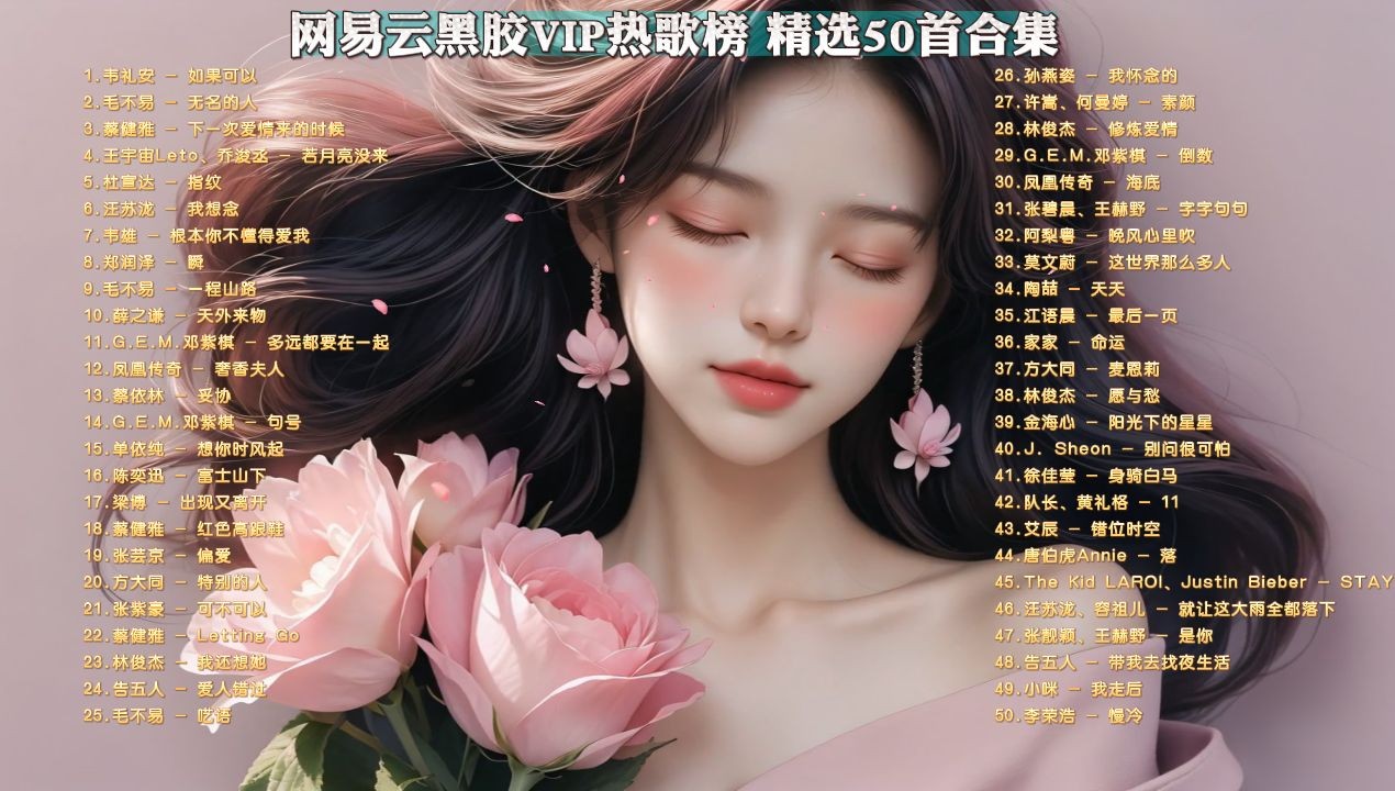 【网易云黑胶VIP热歌榜带歌词】 精选50首合集 [FLAC/1.4G]
