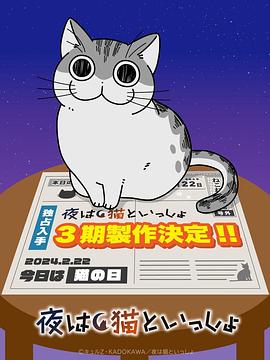 关于养猫我一直是新手 第三季 夜は猫といっしょ3