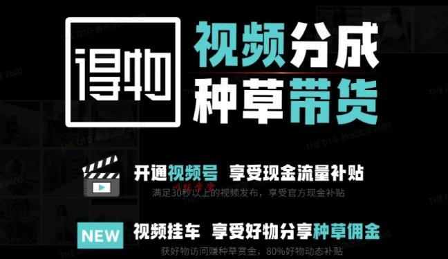 得物价值1980元课程 双通道玩法拆解 小白3天狂薅流量红利!【81.3MB】