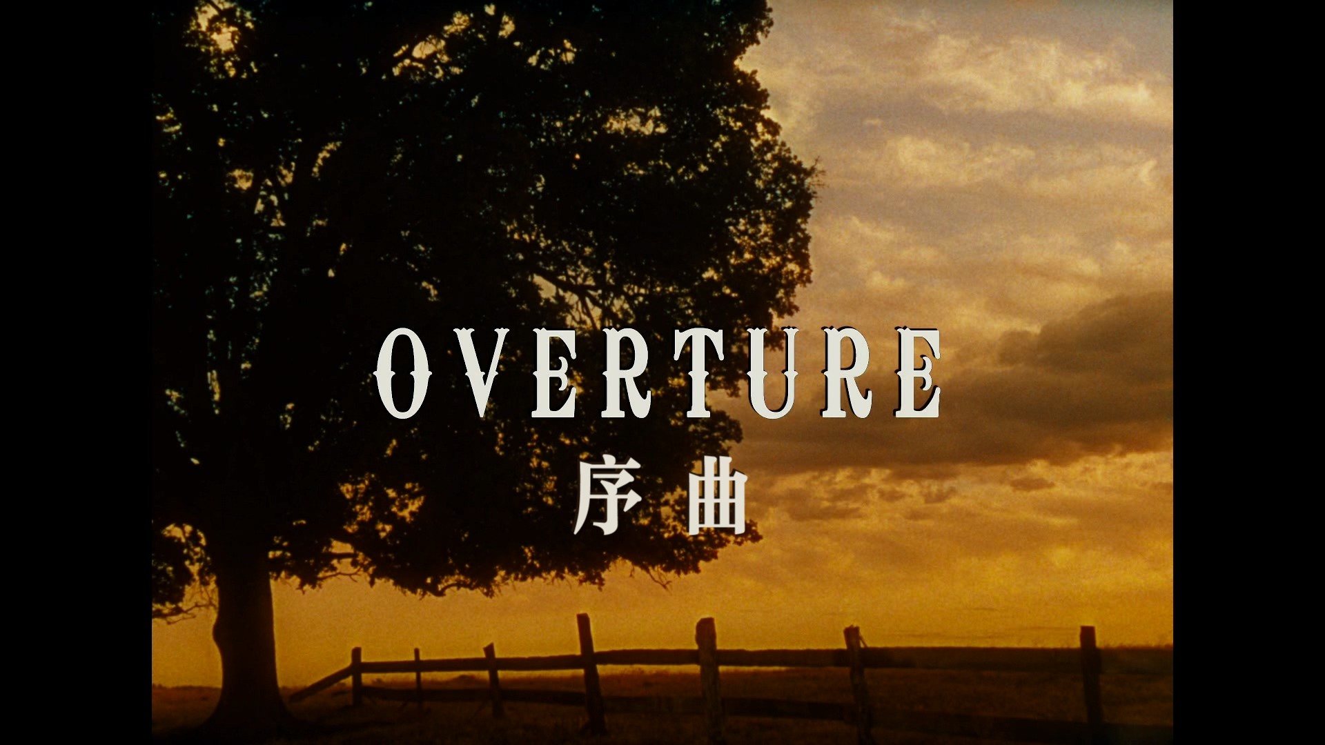 乱世佳人 (1939) 美版70周年纪念版【蓝光原盘REMUX】【杜比环绕声原生英语+八版国配】内封简体简英双语特效字幕 [40.2G]