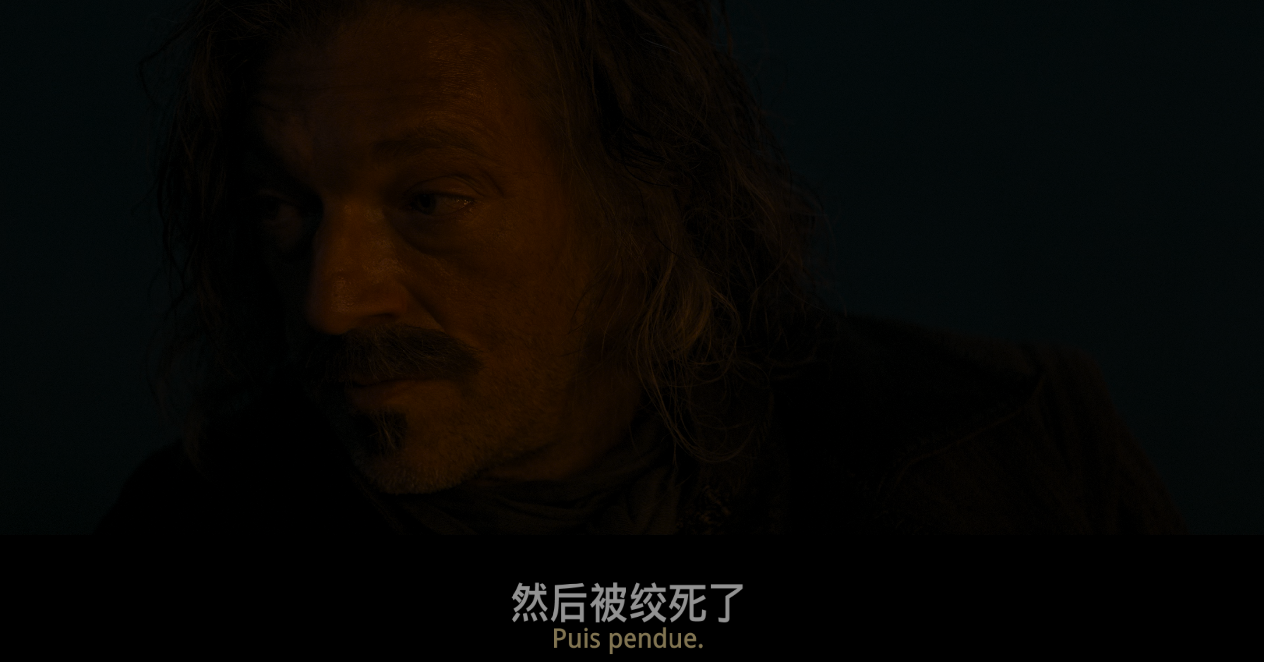 三个火枪手(两部合集)【4K.REMUX UHD原盘】【HDR10&杜比视界】【内封简法双语特效字幕】【211GB】