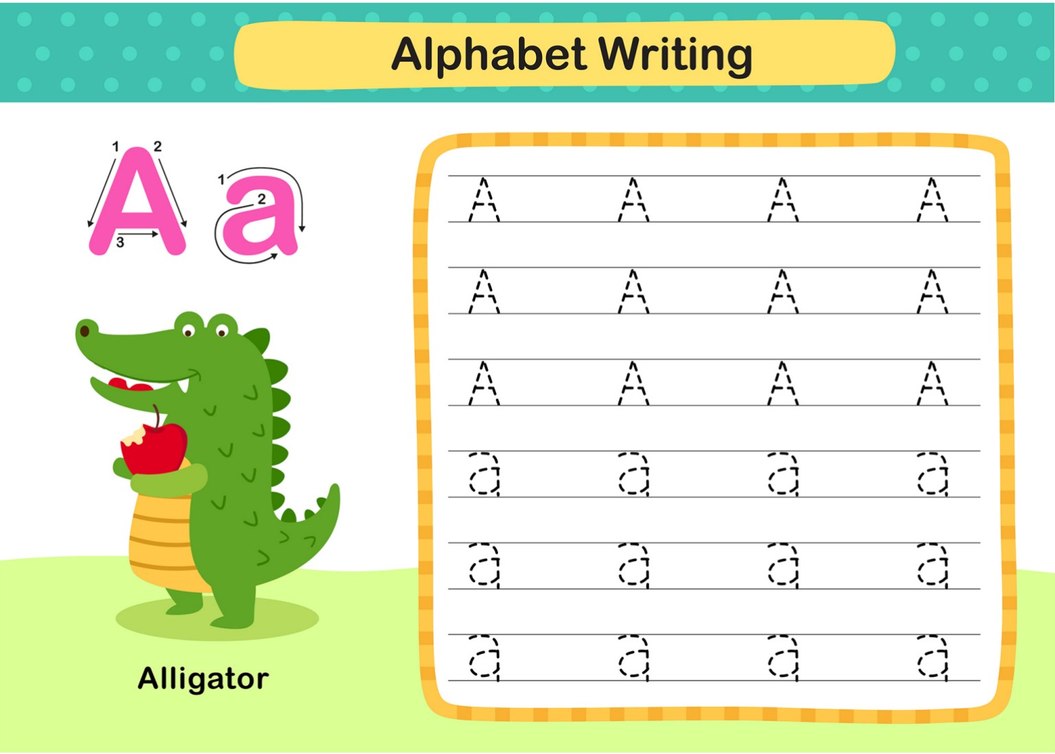 国外原版幼儿英语启蒙26个字母Alphabet Writing大小写描红练习纸【16.4MB】