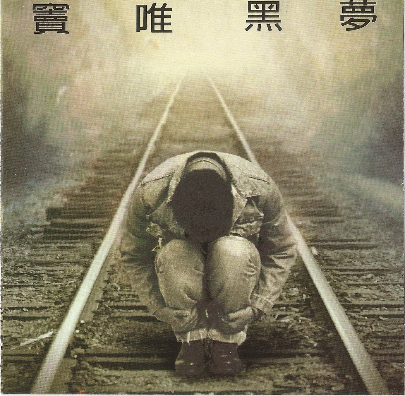 窦唯全集 1991-2024发布过的所有专辑单曲 WAV格式CD抓轨文件 42GB大小