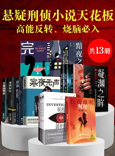 《悬疑刑侦小说天花板：高能反转、烧脑必入》共13册 从警36年的真实办案手记 [pdf] [15MB]