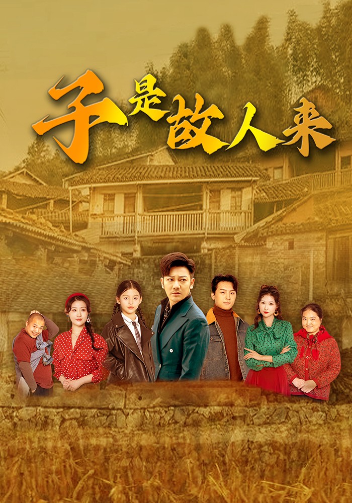【短剧】《09.子是故人来（65集）闫蕃&谢海青》 共1.10 GB