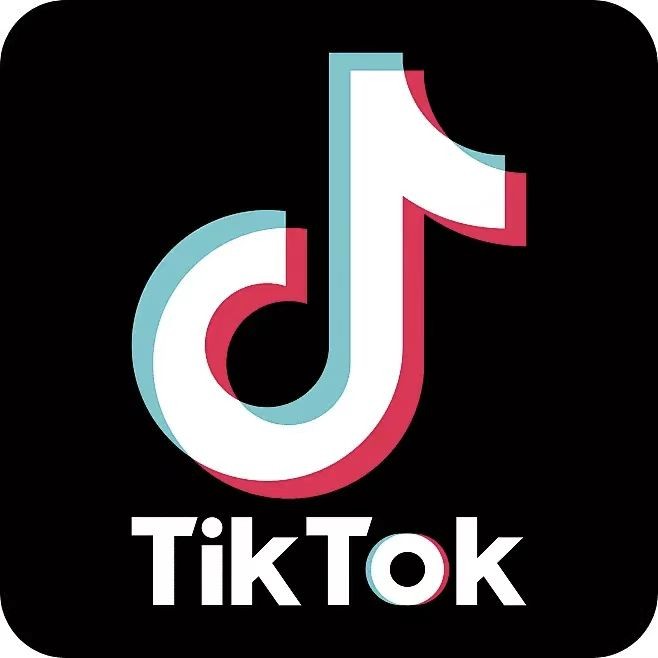 国际抖音TikTok各个版本  安卓端  【共22.9gb】