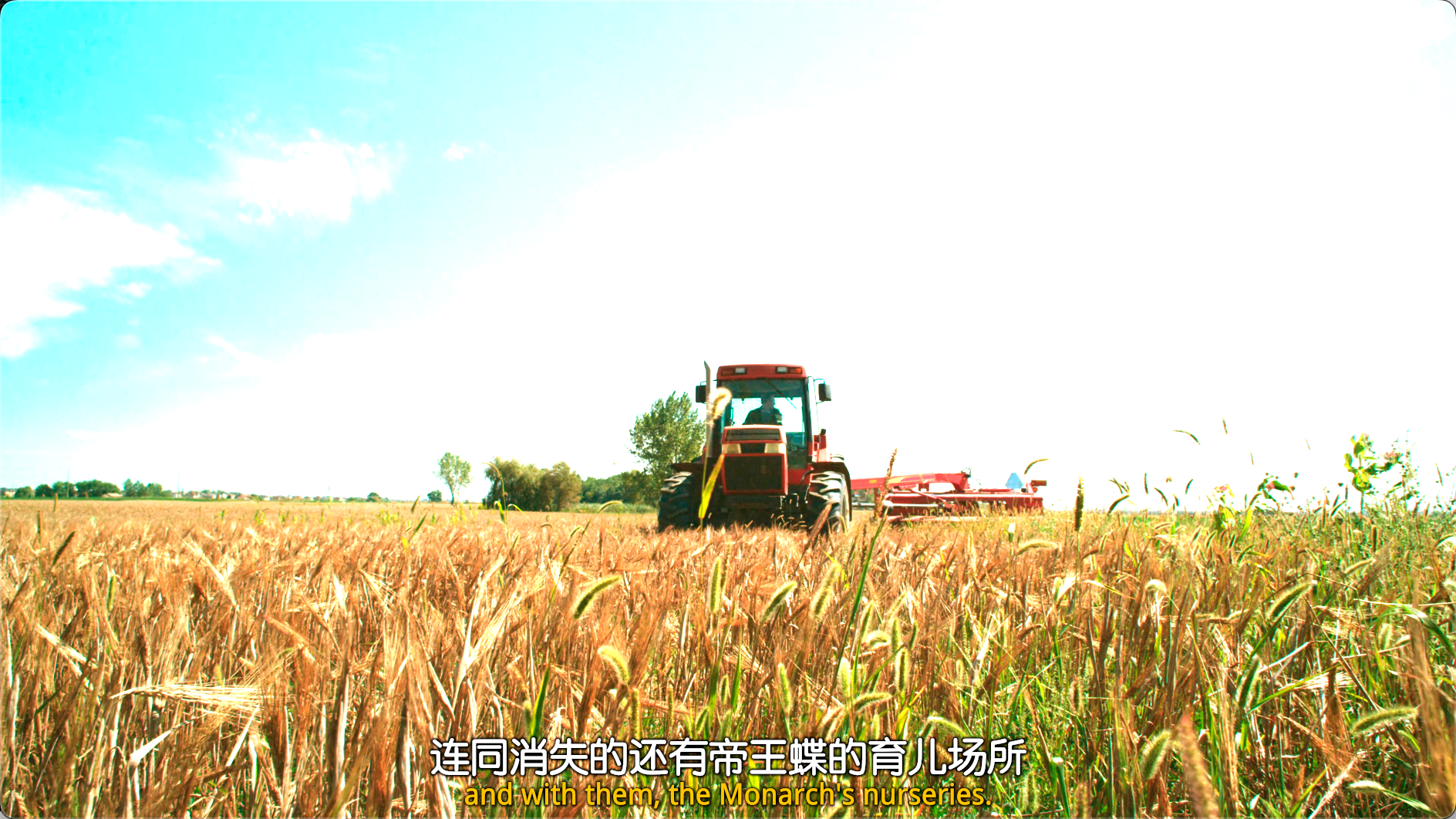 帝王蝶的迁徙 (2012)【纪录片】【4K原盘REMUX】 【HDR】【内封简英双字】【精调字幕】【19.66G】【已刮削】