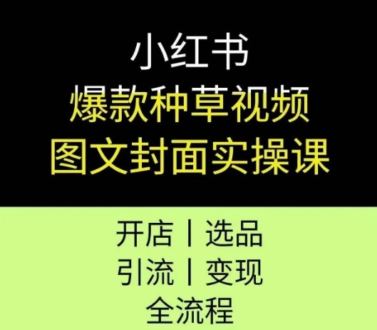 小红书聚光投放保姆级教程,让你的私信开口成本降低10倍【11.9GB/MP4】