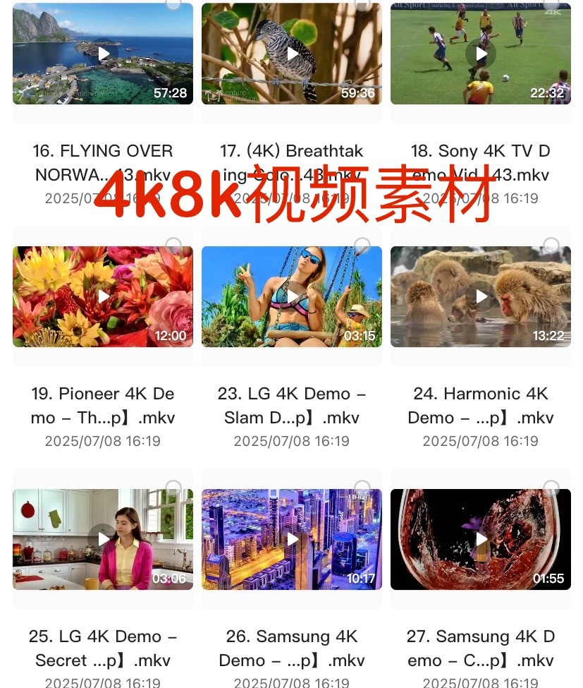 8K 4K视频素材分享！美妙视频高画质 放大10多倍还是高清画面 纤毫必现【201GB】