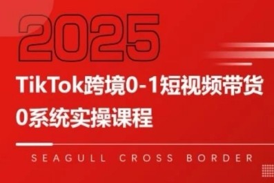 TikTok跨境0-1短视频带货，系统拆解TikTok跨境带货全链路，实现跨境可持续盈利【1.2GB/MP4】