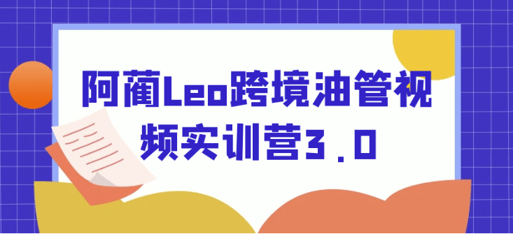 阿蔺Leo跨境油管视频实训营3.0 【3.4GB】