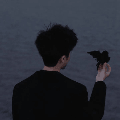 nnb0