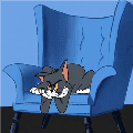 4243